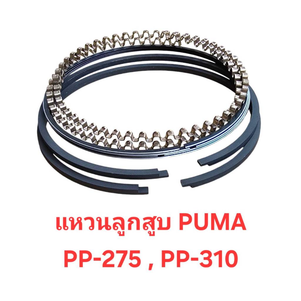 แหวนลูกสูบ อะไหล่ปั๊มลม PUMA รุ่น PP-275 , PP-310 ( 7.5-10 แรงม้า) แหวนอัด แหวนน้ำมัน