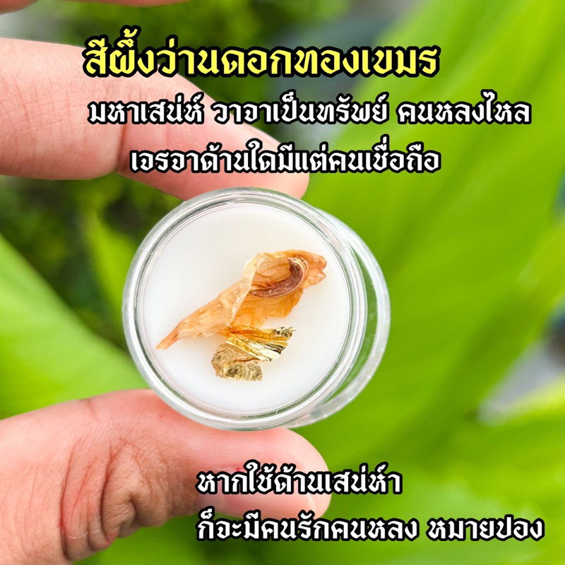 สีผึ้งทาปาก ว่านดอกทองเขมร(สายขาว)