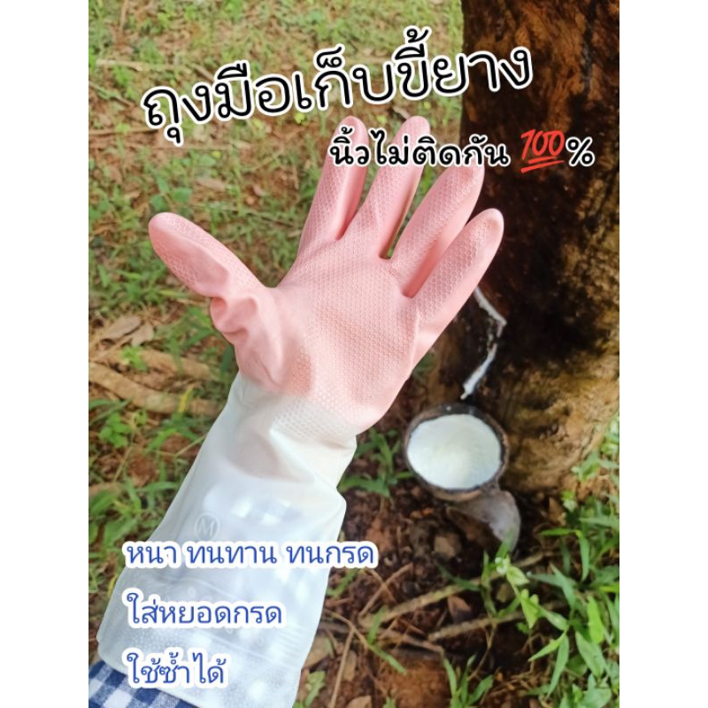 แพ็ค 3 คู่ ถุงมือเก็บขี้ยาง รุ่นนี้ยางไม่เหนียวติด นิ้วไม่หด