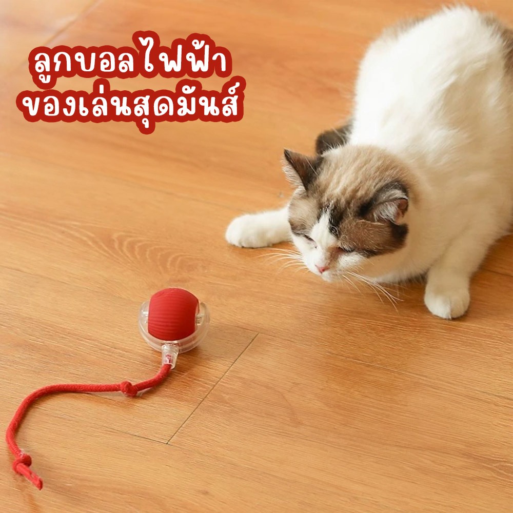 zeze Smart Rolling Ball ลูกบอลของเล่นสัตว์เลี้ยง สุดล้ำ กลิ้งได้เอง มีไฟกะพริบ ชาร์จไฟได้ มีเชือก