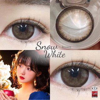 คอนแทคเลนส์[บิ๊กอาย] Snow White Brown / Gray (Lovelylens) ☁️…