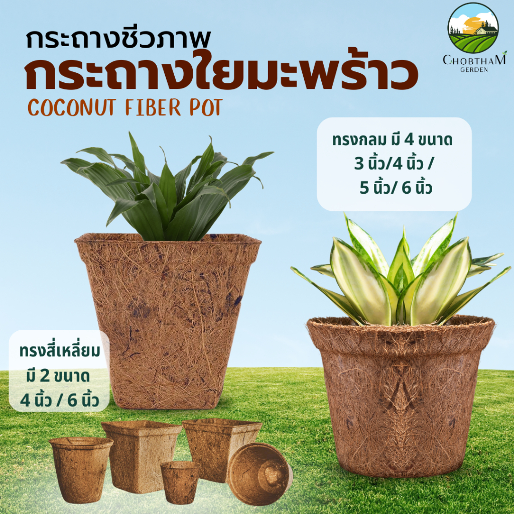 กระถางใยมะพร้าว cocopots​ coconut ​fiber​ กระถาง ใยมะพร้าว กระถางต้นไม้ รักษ์​โลก​ (สั่งขั้นต่ำ 3 ใบ )