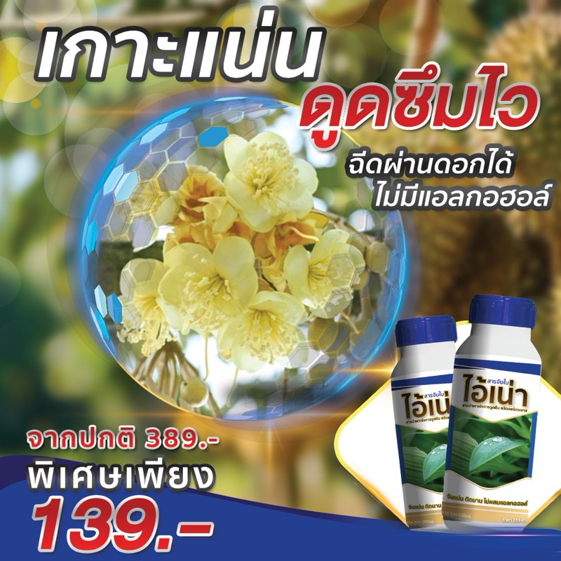 ไอ้เน่าจับใบ สารจับใบ สารนำพา เร่งการดูดซึม ปุ๋ยน้ำ