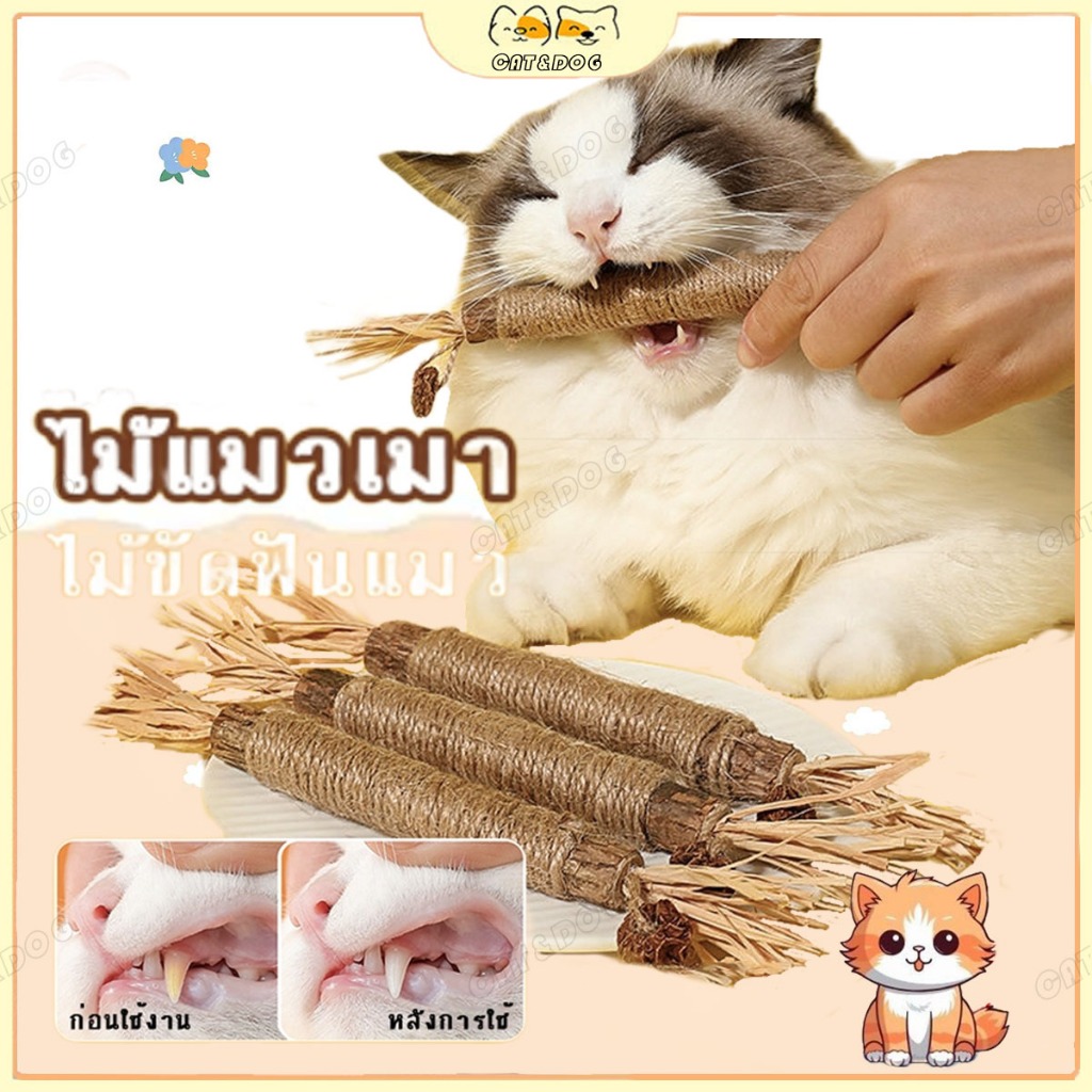 【CAT&DOG】ไม้แมวเมา อันใหญ่ ไม้ขัดฟันแมว มาทาบิ ไม้มาทาทาบิ ของเล่นแมว ลดคราบหินปูน กัญชาแมว ขนาดเหมาะกับแมวมากที่สุด