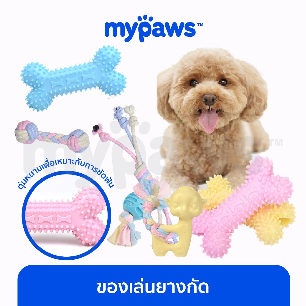 ซื้อ My Paws ของเล่นยางกัด ของเล่นขัดฟันสุนัข สีพาสเทล สำหรับสุนัขพันธุ์เล็ก พันธุ์กลาง