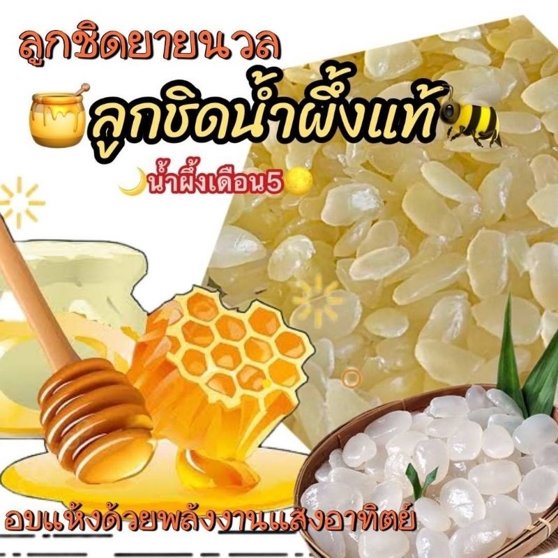ลูกชิดอบแห้ง by ยายนวล  อบแห้งด้วยพลังงานแสงอาทิตย์  (ธรรมชาติ ใบเตย กาแฟ น้ำผึ้ง)