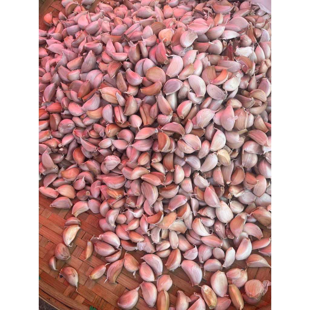 กระเทียมแกะกลีบ (กระเทียมจีน) สวยๆไม่ฝ่อ พร้อมจัดส่ง 1กิโลกรัม - รูปที่ 2