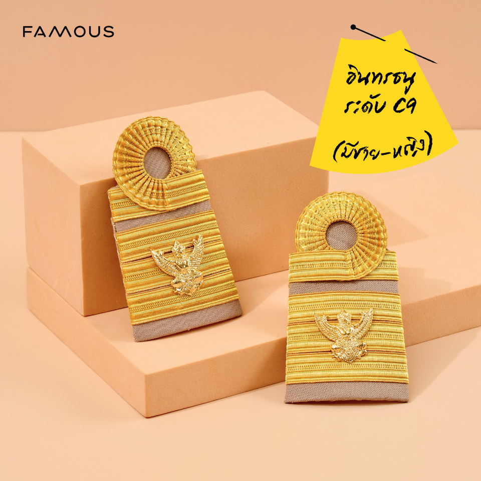 อินทรธนูข้าราชการc9 เชี่ยวชาญ/บ่าชุดกากีc9 เชี่ยวชาญ/อินทรธนูชุดกากีc9 เชี่ยวชาญ /เครื่องหมายข้าราชก