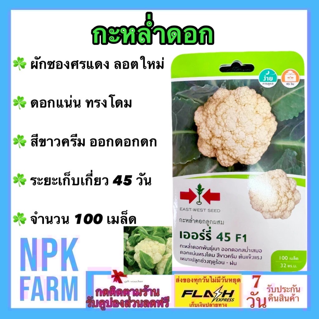 ศรแดง กะหล่ำดอก เออร์รี่ หมดอายุ 04/11/2568 จำนวน 100 เมล็ด กะหล่ำดอกพันธุ์เบา ออกดอกเร็วสม่ำเสมอ