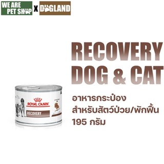 Royal Canin Vet Dog and Cat Recovery อาหารสัตว์ป่วย พักฟื้น …