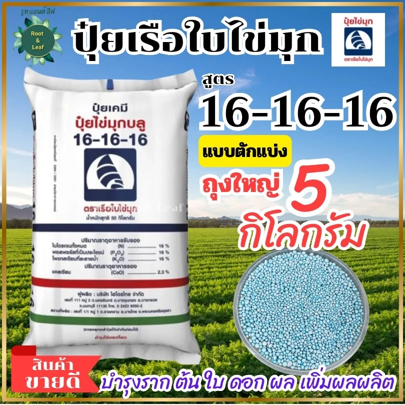 ปุ๋ยเรือใบไข่มุก สูตรเสมอ 16-16-16 เม็ดสีฟ้า ขนาด ถุง 5 กิโลกรัม บำรุงต้น ดอก ใบ เร่งการเจริญเติบโต เหมาะกับพืชผัก ผลไม้
