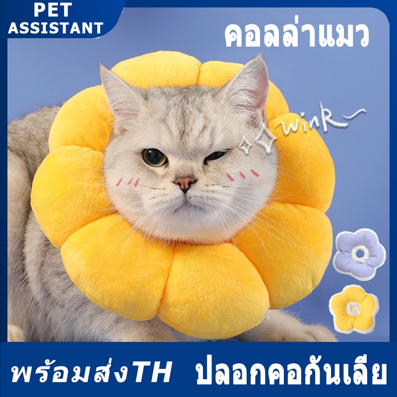 ☀️พร้อมส่ง☀️ปลอกคอกันเลีย ปลอกคอสัตว์เลี้ยง คอลล่ากันเลีย คอลล่าแมว คอลล่าสุนัข🎊รอบคอ ป้องกันการเลียแผลนุ่มนิ่มใส่สบาย