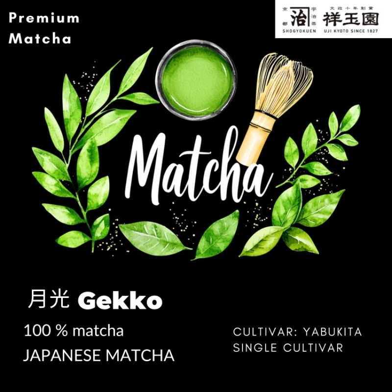 Gekko Matcha  ขมฝาดน้อย  สาหร่าย นัตตี้เบาๆ