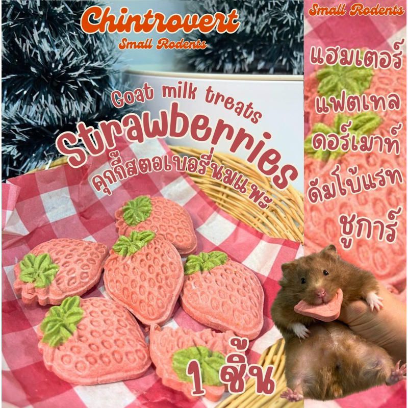 Chintrovert | Cookies goat milk strawberry คุกกี้นมแพะสตอร์เบอรี่ | แฮมเตอร์ แฟตเทล ดอร์เมาท์ ชูการ์