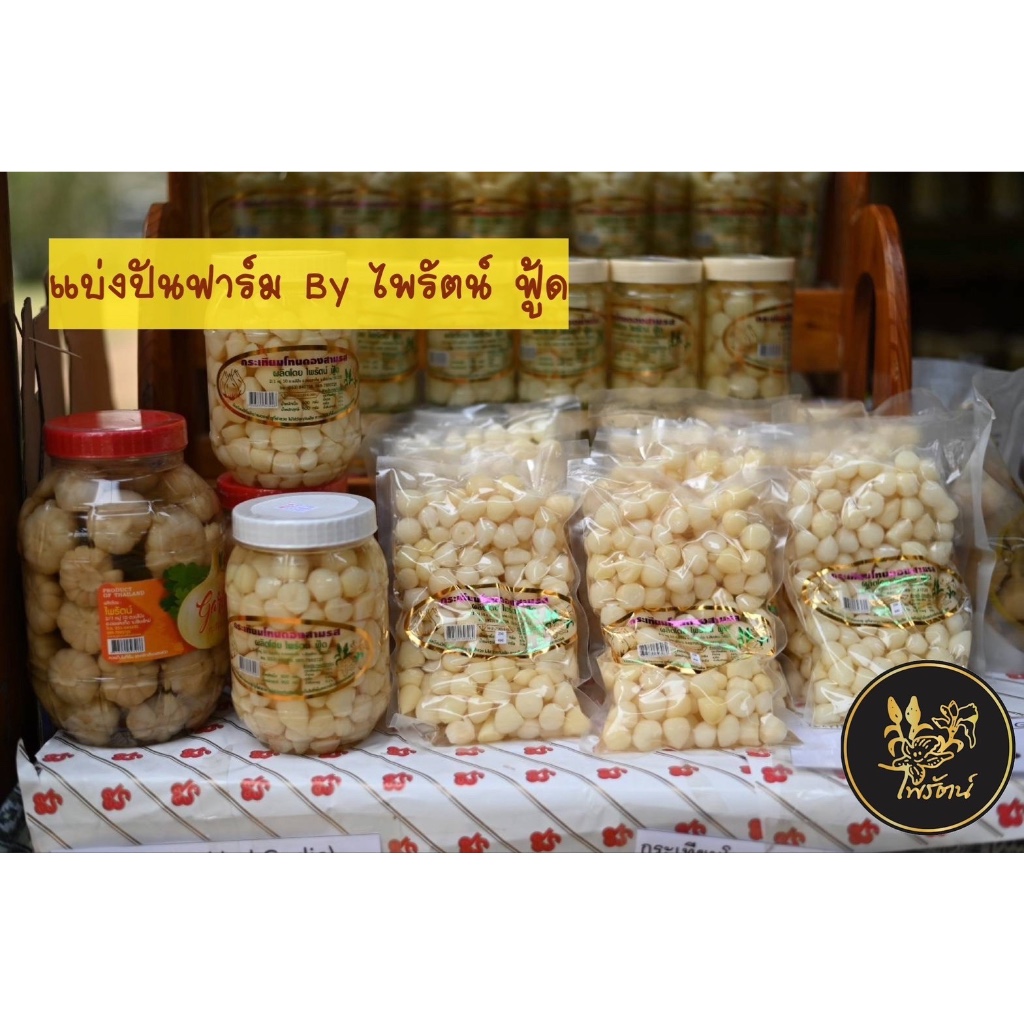 กระเทียมโทนดองน้ำผึ้ง - รูปที่ 4