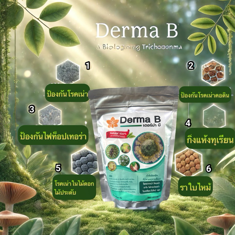 Derma B ไตรโครเดอร์มา ชนิดผง ขนาด 250 กรัม