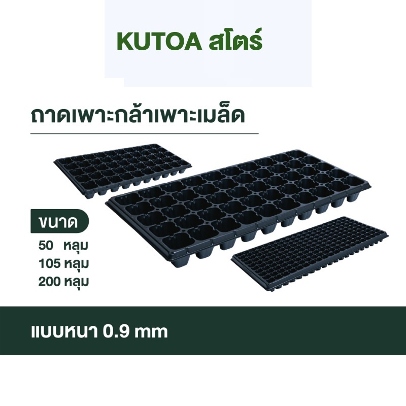 ถาดเพาะกล้า ถาดเพาะเมล็ด (แบบหนา 0.9 mm) ขนาด 105 หลุม (ยกกล่อง 100 ชิ้น)