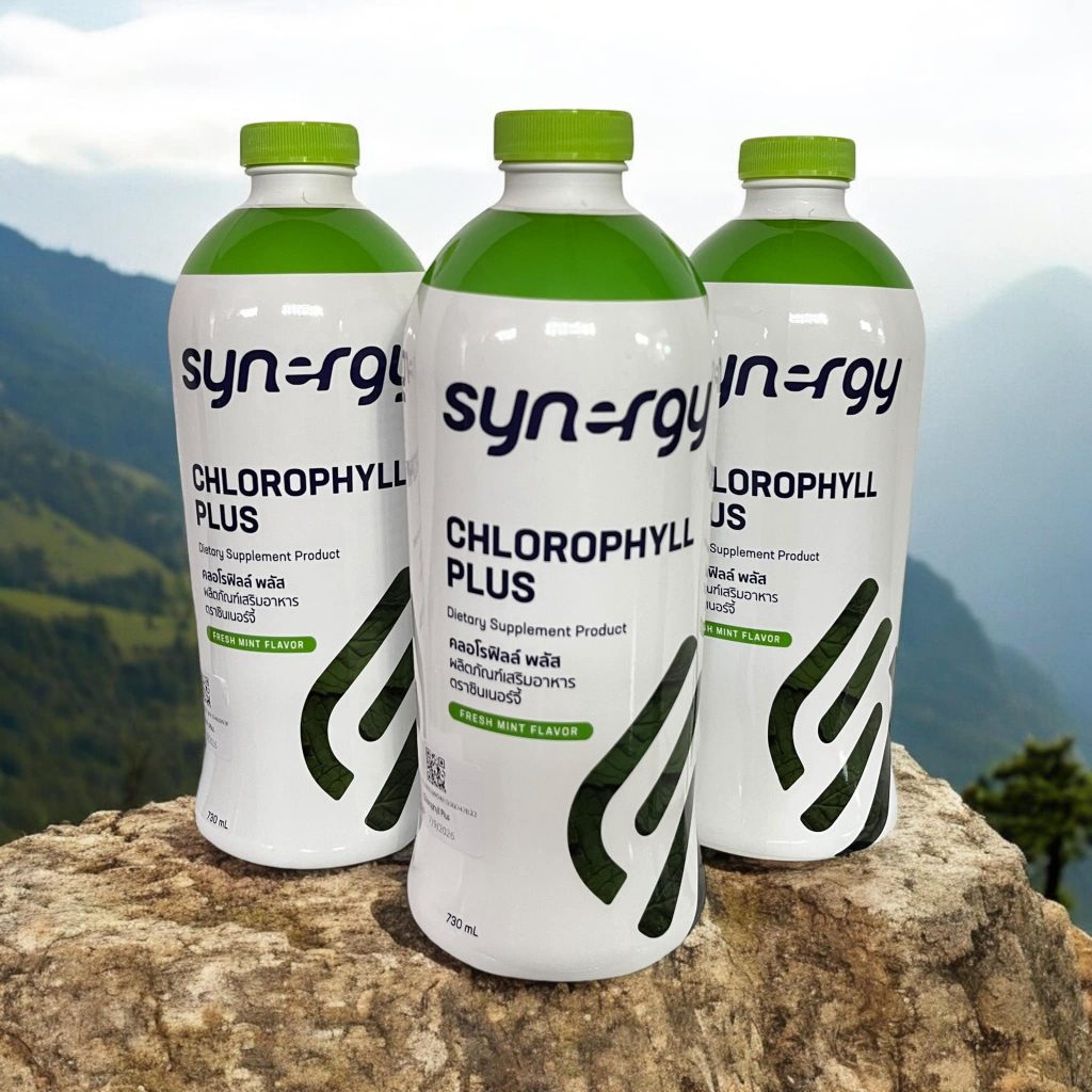 คลอโรฟิลล์ พลัส ผลิตภัณฑ์เสริมอาหาร ตราซินเนอร์จี้ SYNERGY