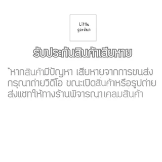 กระถางบัว(ทึบ) 10 นิ้ว 12 นิ้ว สีดำ ขอบหยัก ไม่มีรู