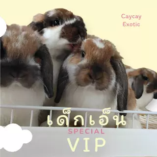 สตรอว์เบอร์รีอบแห้ง caycay