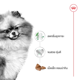 Royal Canin Mini Indoor Adult รอยัลคานิน สุนัขโต พันธุ์เล็ก เลี้ยงในบ้าน อายุ 10 เดือน - 8 ปี 3 kg