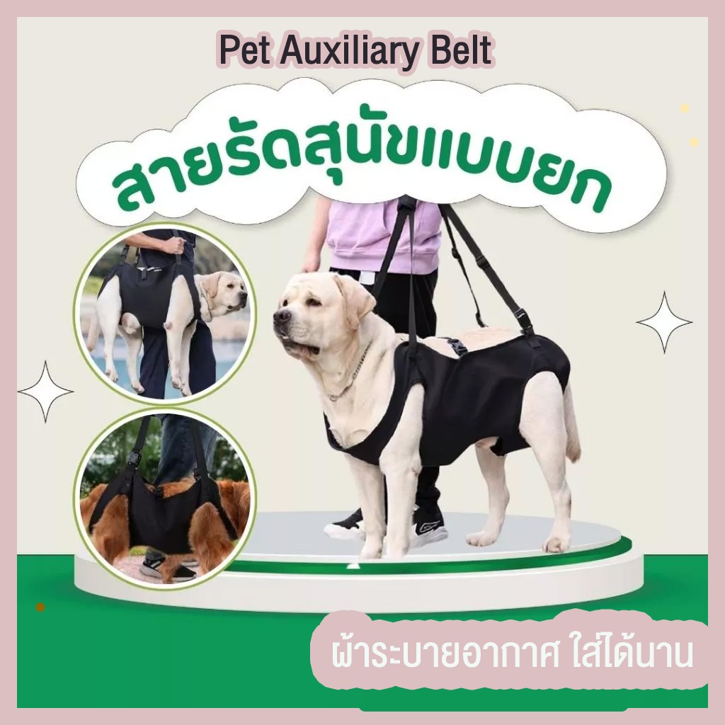 สายรัดพยุงสัตว์เลี้ยง แบบปรับได้ ที่พยุงสุนัข ที่ยกสุนัข ฝึกกายภาพบำบัด ด้านหน้าและด้านหลัง