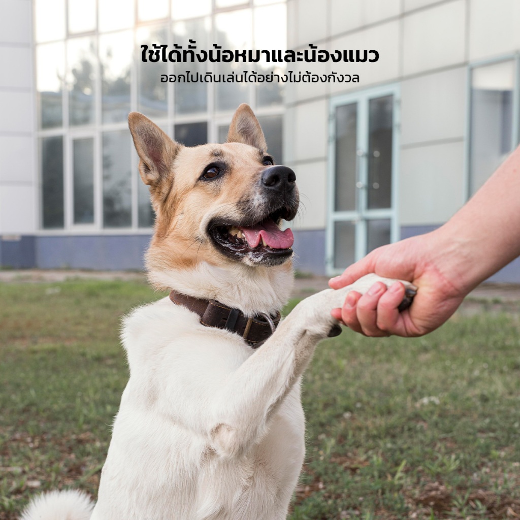 KUMOO PET ครีมบำรุงเท้า สำหรับสัตว์เลี้ยง สุนัข แมว ช่วยให้เท้าชุ่มชื้น - รูปที่ 5