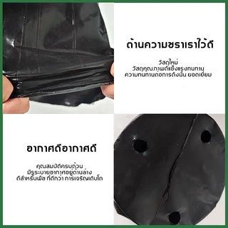กระถางต้นไม้พลาสติก Buy 10 get 3 free ชิ้น กระถางพลาสติกเพาะต้นกล้า กรถางปลูกต้นไม้