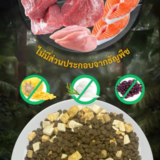 (โค้ดส่งฟรี) Bite of Wild P42 อาหารแมวพรีเมี่ยมแบบ Holistic & Grain Free 100% 1 kg ผสมฟรีซดาย
