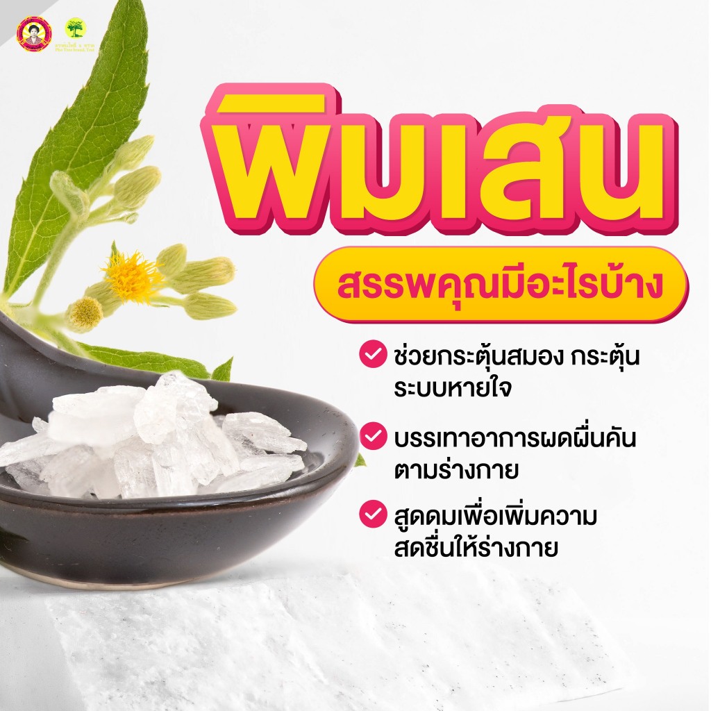 ┃พร้อมส่ง+ของแท้┃น้ำมันเหลือง สมถวิล (3 ขวด) อั้งกี้ ตราต้นโพธิ์ สูตรดั้งเดิมหอมเย็น ขนาด 24 ซีซี ของแท้จากโรงงานโดยตรง ราคา ถูกที่สุด ดีลบีเคเค แกลเลอรีภาพที่ 5