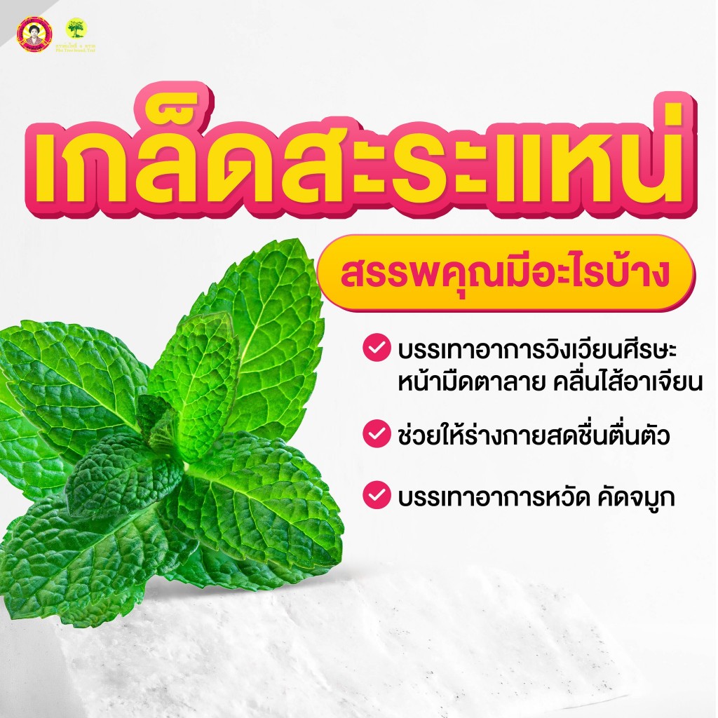 ┃พร้อมส่ง+ของแท้┃น้ำมันเหลือง สมถวิล (3 ขวด) อั้งกี้ ตราต้นโพธิ์ สูตรดั้งเดิมหอมเย็น ขนาด 24 ซีซี ของแท้จากโรงงานโดยตรง ราคา ถูกที่สุด ดีลบีเคเค แกลเลอรีภาพที่ 6