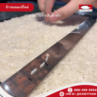 38 กก. ข้าวหอมมะลิใหม่ต้นฤดูปี69คัดพิเศษ100%เม็ดสวยไม่มีหัก ข้าวสารตราส้มเขียวหวาน ราคาโรงสี ส่งฟรี N