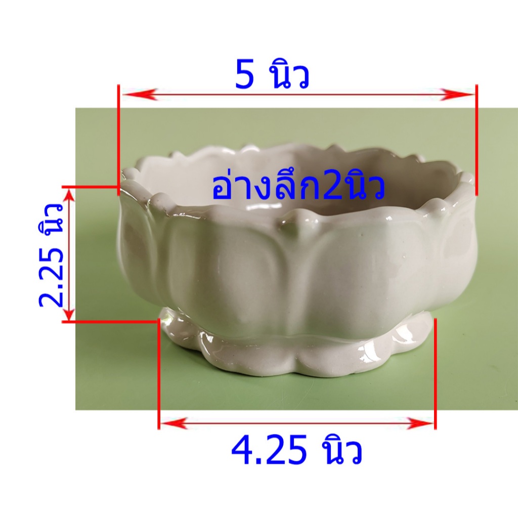 อ่าง กลีบดอกบัว สีขาว เซรามิค ใช้แต่งห้อง หรือ จะใช้วางของบูชา ในห้องพระ ห้องสปา โอทอปลำปาง ราคา ถูกที่สุด ดีลบีเคเค รูปภาพหลัก