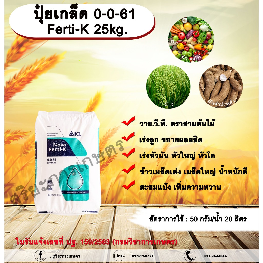 ปุ๋ยเกล็ด 0-0-61 Ferti-K 25kg. วาย.วี.พี. ตราสามต้นไม้  ปุ๋ยเกล็ด เร่งลูก ขยายผลผลิต เร่งหัวมัน หัวใ
