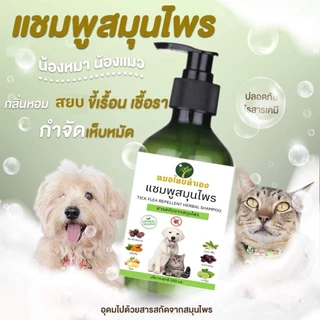 แชมพูสมุนไพร จัดการเห็บหมัด ขี้เรื้อนสุนัข แมว เชื้อรา ยีสต์ คันเกา (มี อย ถูกต้อง) แชมพูสุนัข แมว หมอไทยทำเอง