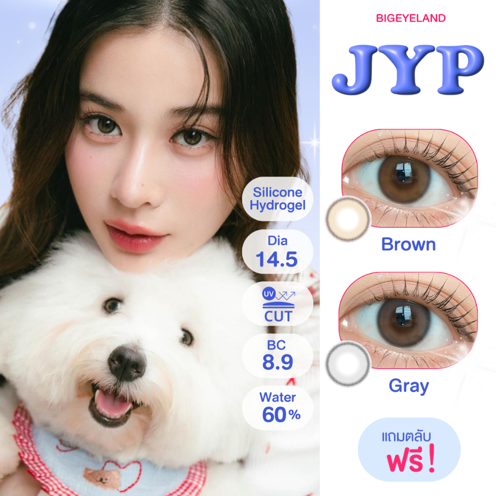 รุ่นเก้า เลนส์ไฮโดรเจล คอนแทคเลนส์ JYP Brown / Gray (Mayalens) ขนาดมินิ ค่าอมน้ำสูง