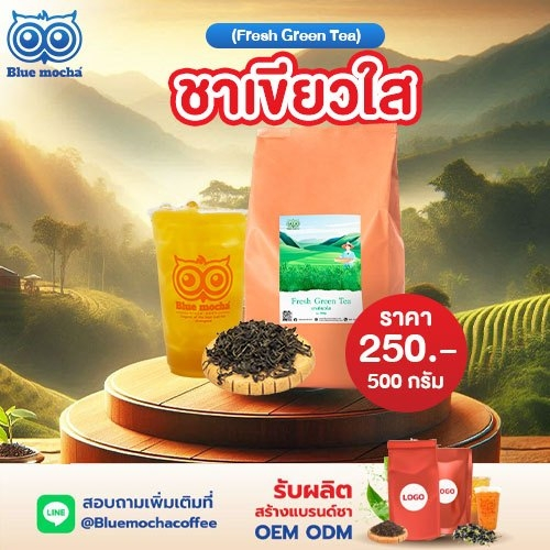 ใบชาเขียว (ชาเขียวใส) สำหรับชงชาผลไม้ ขนาด 500 กรัม ราคา 250 บาท ชาผลไม้ ชาเขียว green tea ชา