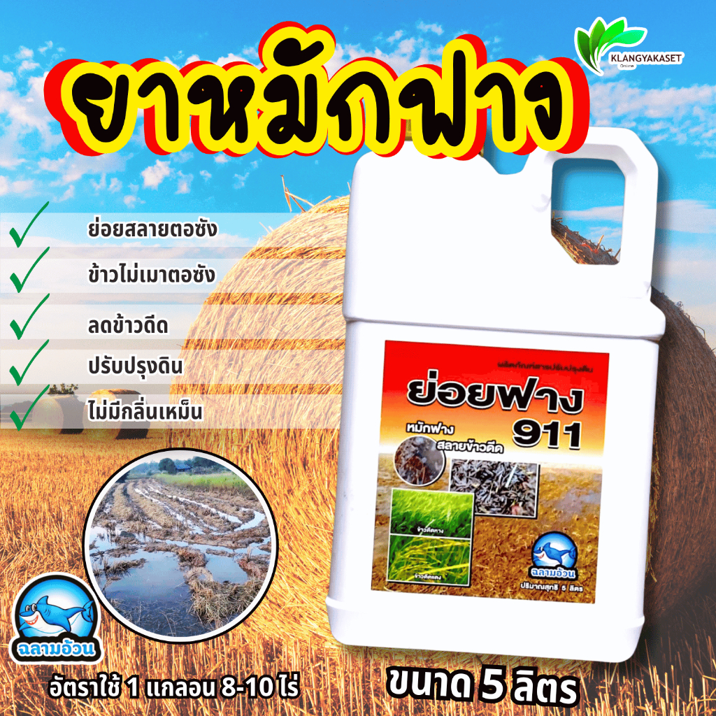 ย่อยฟาง 911 5 ลิตร หมักฟาง ย่อยฟาง  หมักข้าวดีด ย่อยข้าวดีด สลายตอซัง ดินนิ่ม ฟู ลดการใช้ปุ๋ย ข้าวดีดลดลง 70-80% ฟูฟาง