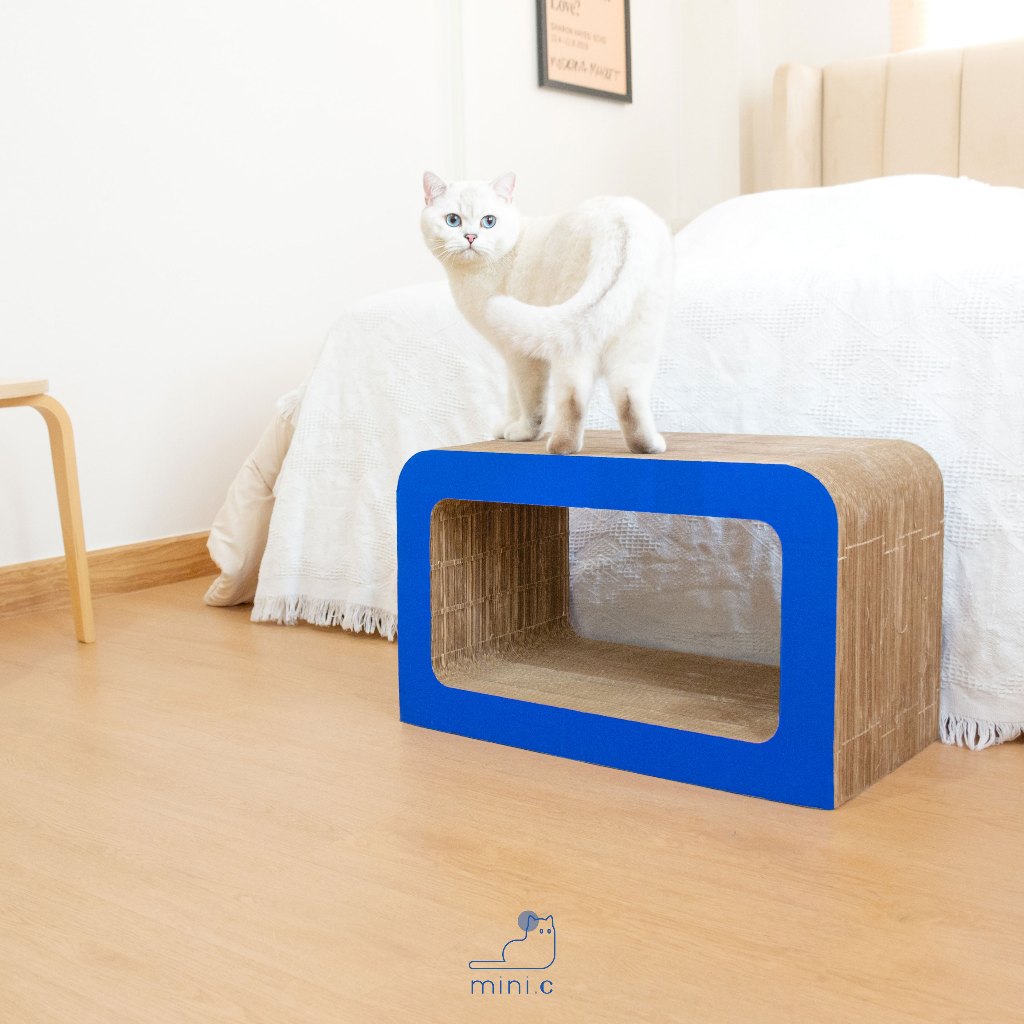 mini.c ที่ลับเล็บแมว รุ่น BLAU กระดาษลับเล็บแมว ที่ฝนเล็บแมว บ้านแมว ของเล่นแมว Cat scratcher