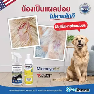 [ขวดแบ่ง] Microcyn AH [แท้💯] ผลิตภัณฑ์พ่นแผล และฟื้นฟูผิวหนัง EXP11/26-28 ใช้ได้กับสัตว์ทุกชนิดทุกช่วงอายุ