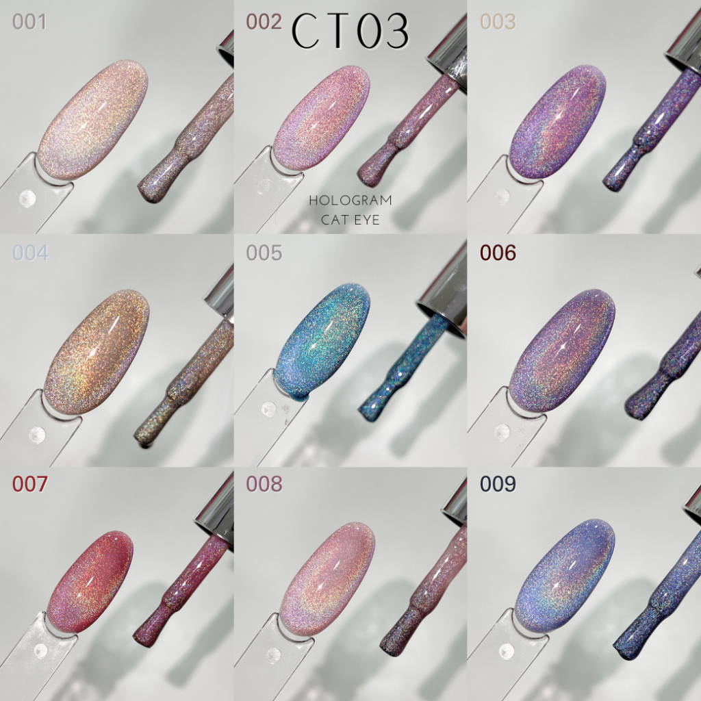 [พร้อมส่งจากไทย] สีเจลแคทอายโฮโลแกรม ORGANAIL เซต CT03 ยกเซตพร้อมชาร์ทโชว์