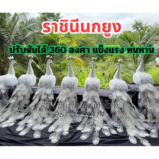นกยูง #นกยูงโฟม #Peacock