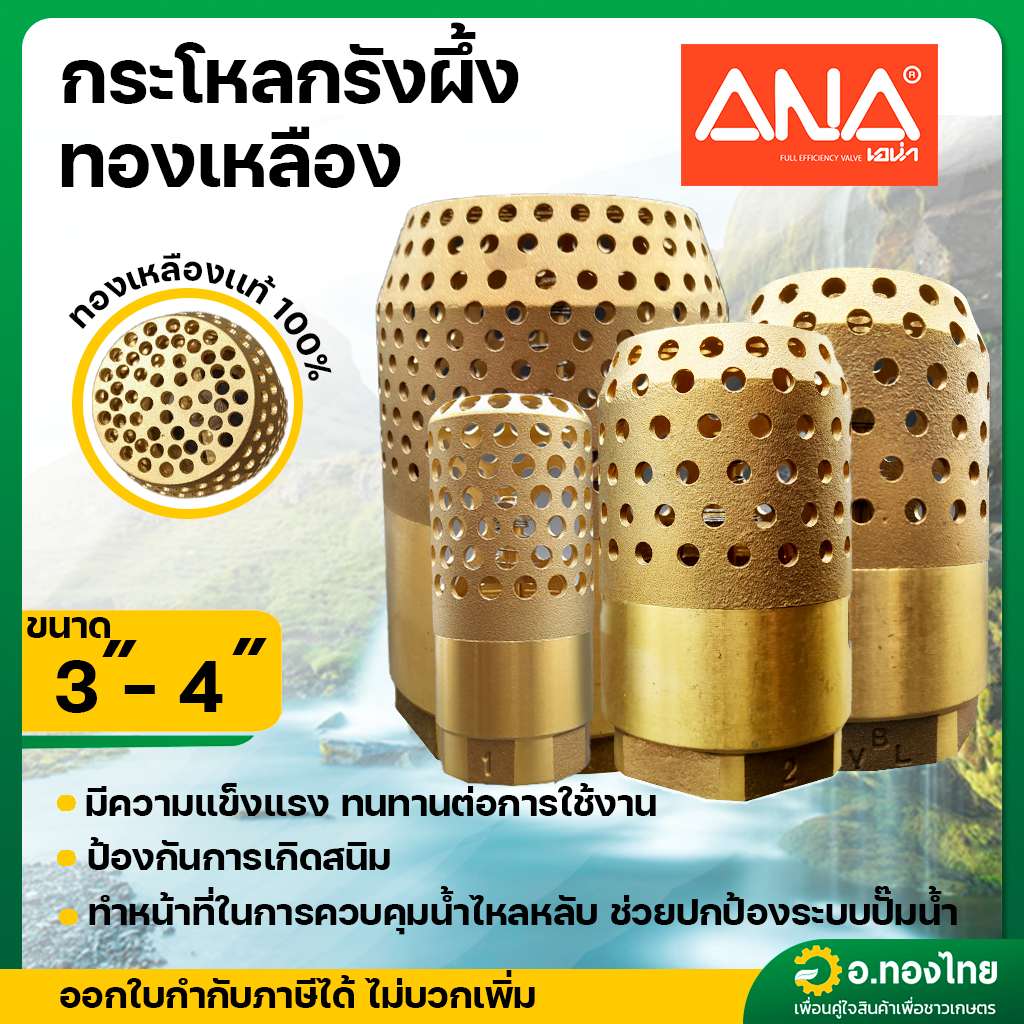 ฟุตวาล์วทองเหลือง กะโหลกรังผึ้ง หัวกะโหลกดูดน้ำ ขนาด 3 , 4 นิ้ว ยี่ห้อ ANA ราคา ถูกที่สุด ดีลบีเคเค