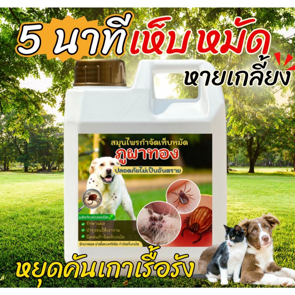 น้ำยาไล่เห็บหมัด น้ำยากำจัดเห็บหมา ขนาด 5 ลิตร กำจัดเห็บหมัดหมา เห็บหมัดสุนัข สูตรออแกร์นิกเข้มข้น สเปรย์กำจัดเห็บหมัด