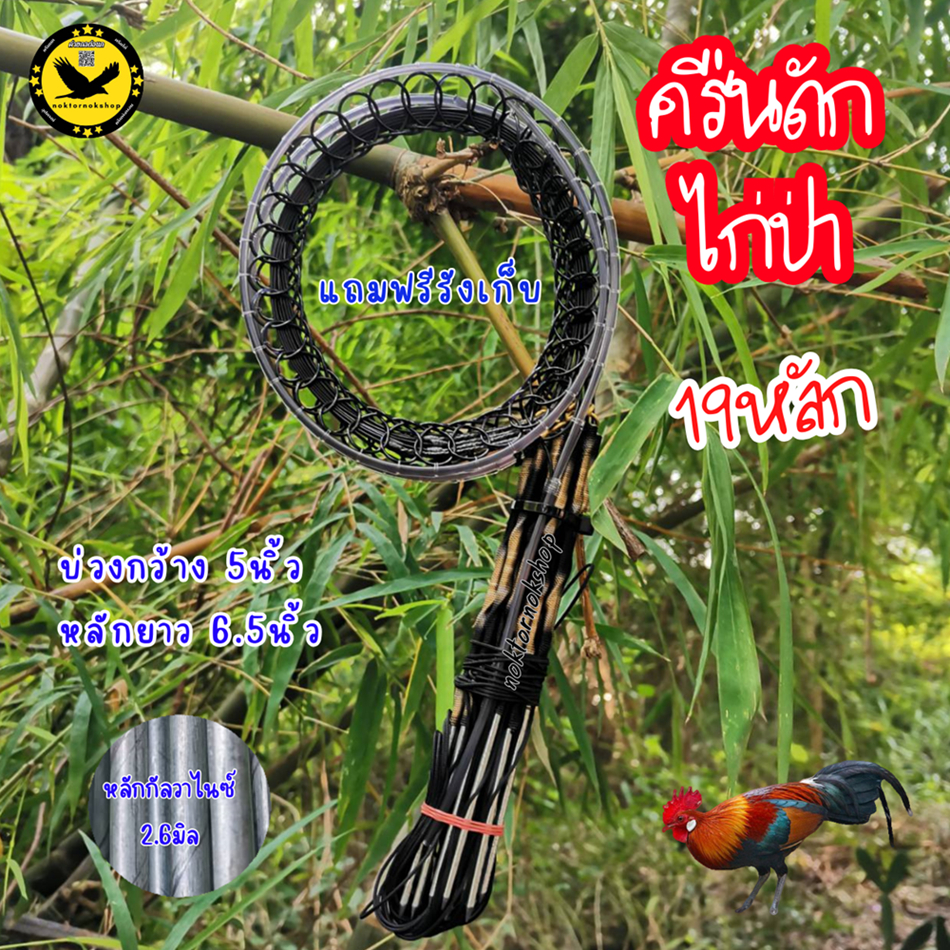 ครืนดักไก่ป่า 19หลัก19บ่วง บ่วงเดี่ยว หลักยาว6.5นิ้ว บ่วงกว้าง5นิ้ว หลักกัลวาไนซ์ สีดำ แถมฟรีรังเก็บ