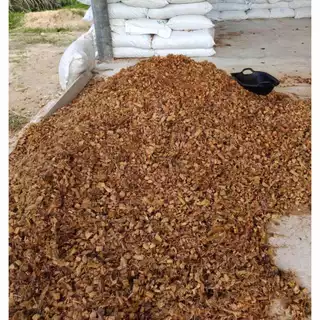 กาบมะพร้าว ขุยมะพร้าว 500g. / 900g. (จากเปลือกมะพร้าว) กาบมะพร้าวสับ มะพร้าวสับ ทำให้ดินโปร่ง