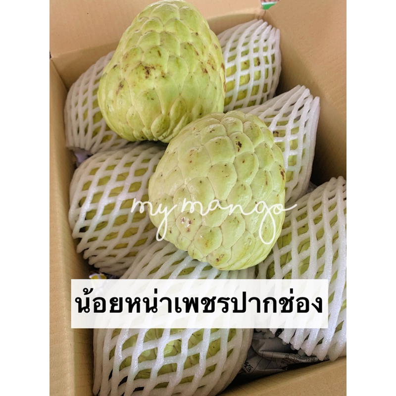 📌น้อยหน่าเพชรปากช่อง เนื้อเยอะ สุกหวาน