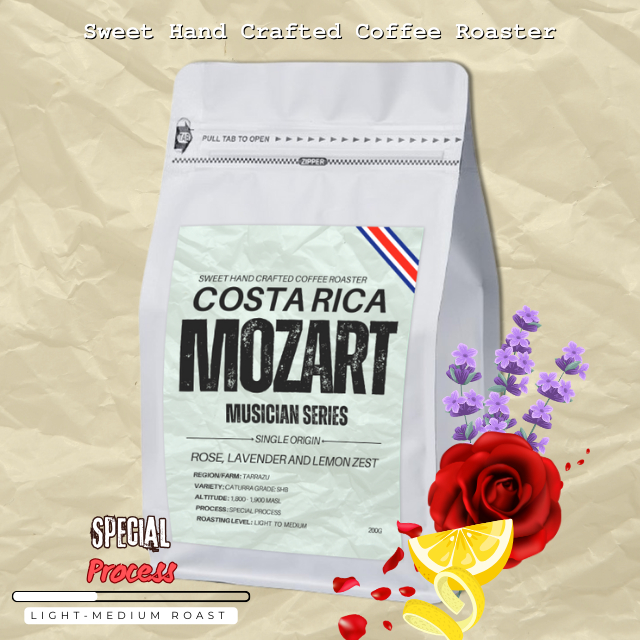 เมล็ดกาแฟคั่ว Costa Rica Mozart | Costa Rica Canet Musician Mozart