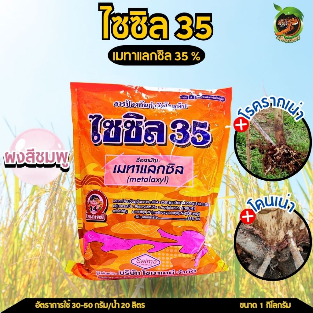 ไซซิล 35 เมทาแลกซิล 35% ผงสีชมพู โรครากเน่า โคนเน่า