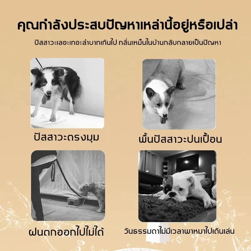 กระบะฉี่สุนัข ถาดรองฉี่สุนัข thumbnail 9
